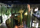 IMG_0108