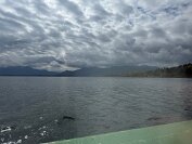 IMG_9770