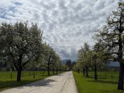 IMG_9781