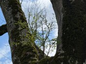 IMG_9783