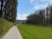 IMG_9784