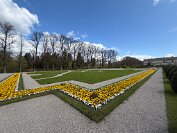 IMG_9785