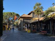 IMG_9988