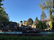 IMG_9992