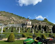 IMG_9379