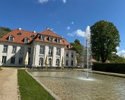 IMG_9381