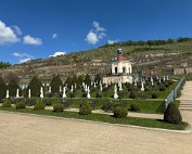 IMG_9384