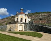 IMG_9387