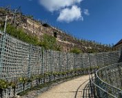 IMG_9390