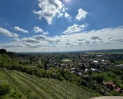 IMG_9401