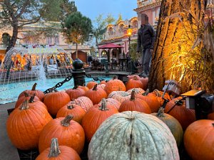 Oktober Europapark und Traumatica 17. - 19.10.2024