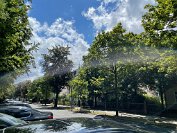 IMG_5354 Ankunft am " Hotel am Schlosspark "