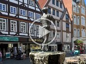 IMG_3985