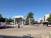 IMG_4214