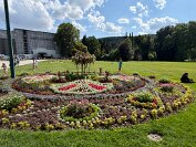IMG_4442