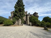 IMG_4569