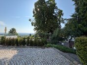 IMG_4530