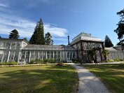 IMG_4534