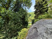 IMG_4544