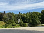 IMG_4551