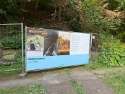 IMG_4554