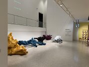 IMG_4899