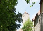 DSC00546