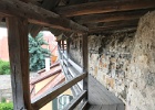 IMG 0464