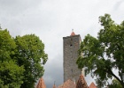 DSC00729