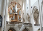 DSC00783