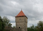 DSC00917