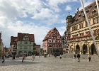 IMG 0531