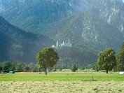 IMG_3470