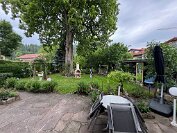 IMG_3101