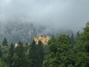 IMG_3142