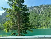 IMG_3314