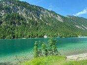 IMG_3320