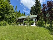 IMG_3341