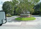 DSC04316