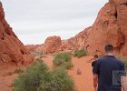 DSC07703