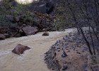 DSC08238