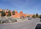 DSC08457