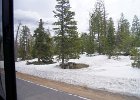 DSC08505