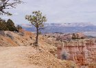 DSC08720