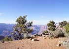 DSC09726