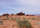DSC09172