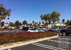 DSC04567 IMG 0797