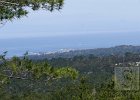 DSC04697