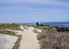 DSC04731