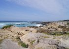 DSC04767